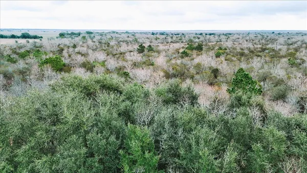 $1,425,000 | 0 Hwy 124 Stowell Tx 77661, Winnie, TX 77665