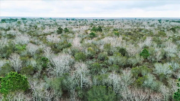 $1,425,000 | 0 Hwy 124 Stowell Tx 77661, Winnie, TX 77665