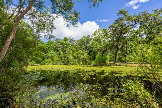 $550,000 | 0 Thorn Chase Lane, Johns Island, SC 29455