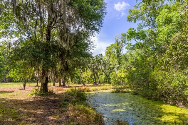 $550,000 | 0 Thorn Chase Lane, Johns Island, SC 29455