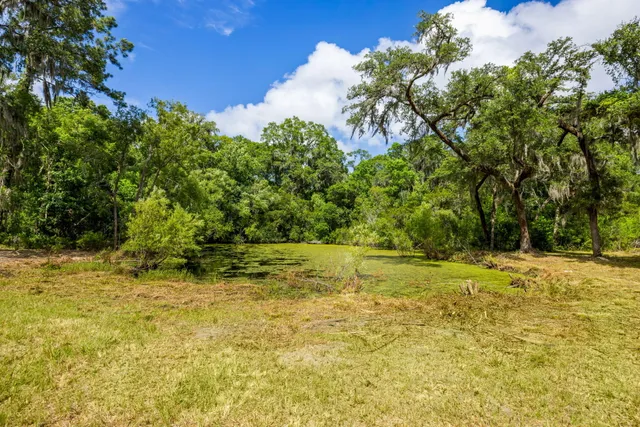 $550,000 | 0 Thorn Chase Lane, Johns Island, SC 29455