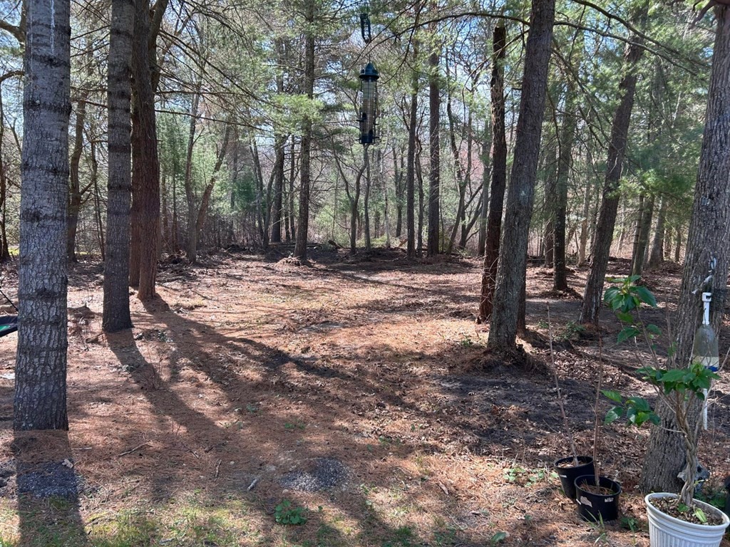 1271 Old Stage Road Barnstable, MA 02668 - Photo 14 of 14