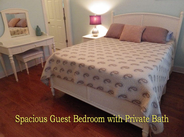 22 Rice Lane Edisto Beach, SC 29438 - Photo 41 of 67 35