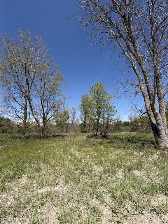 Parcel 6 Fisher Road Howell, MI 48855 - Photo 8 of 9