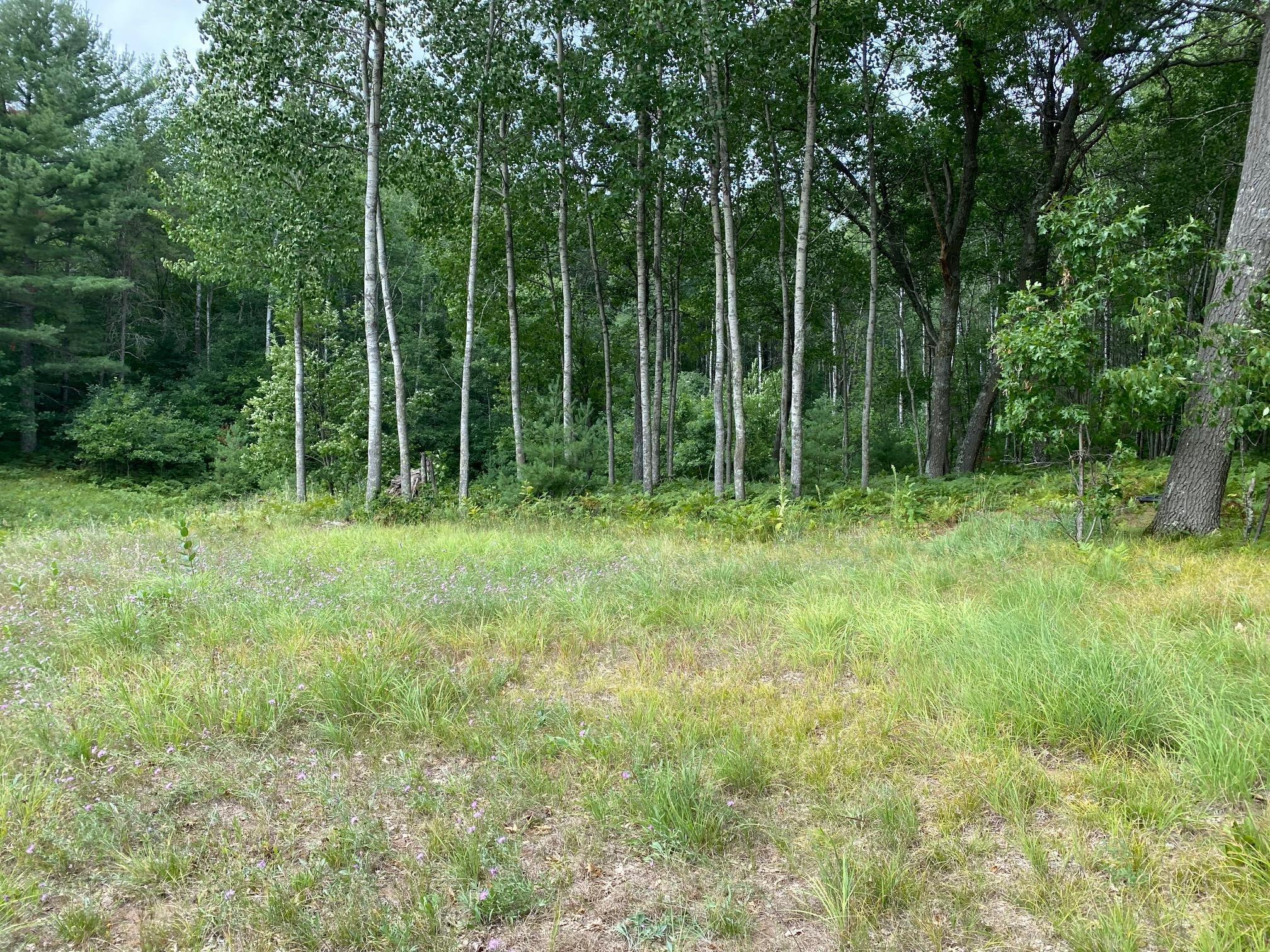 N6163 Carlton Road Spooner, WI 54801 - Photo 1 of 1
