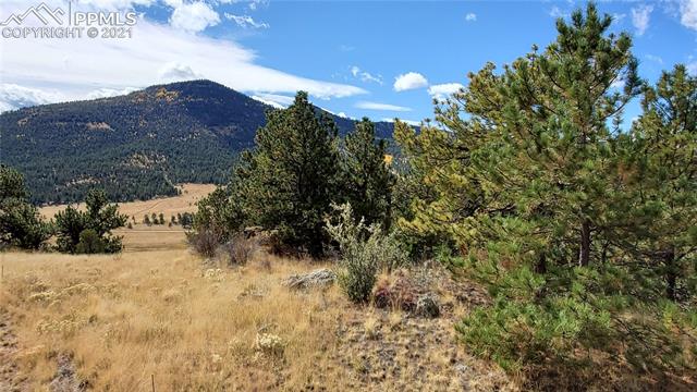 165 Wagonwheel Road Guffey, CO 80820 - Photo 11 of 21 Gallery Image 11