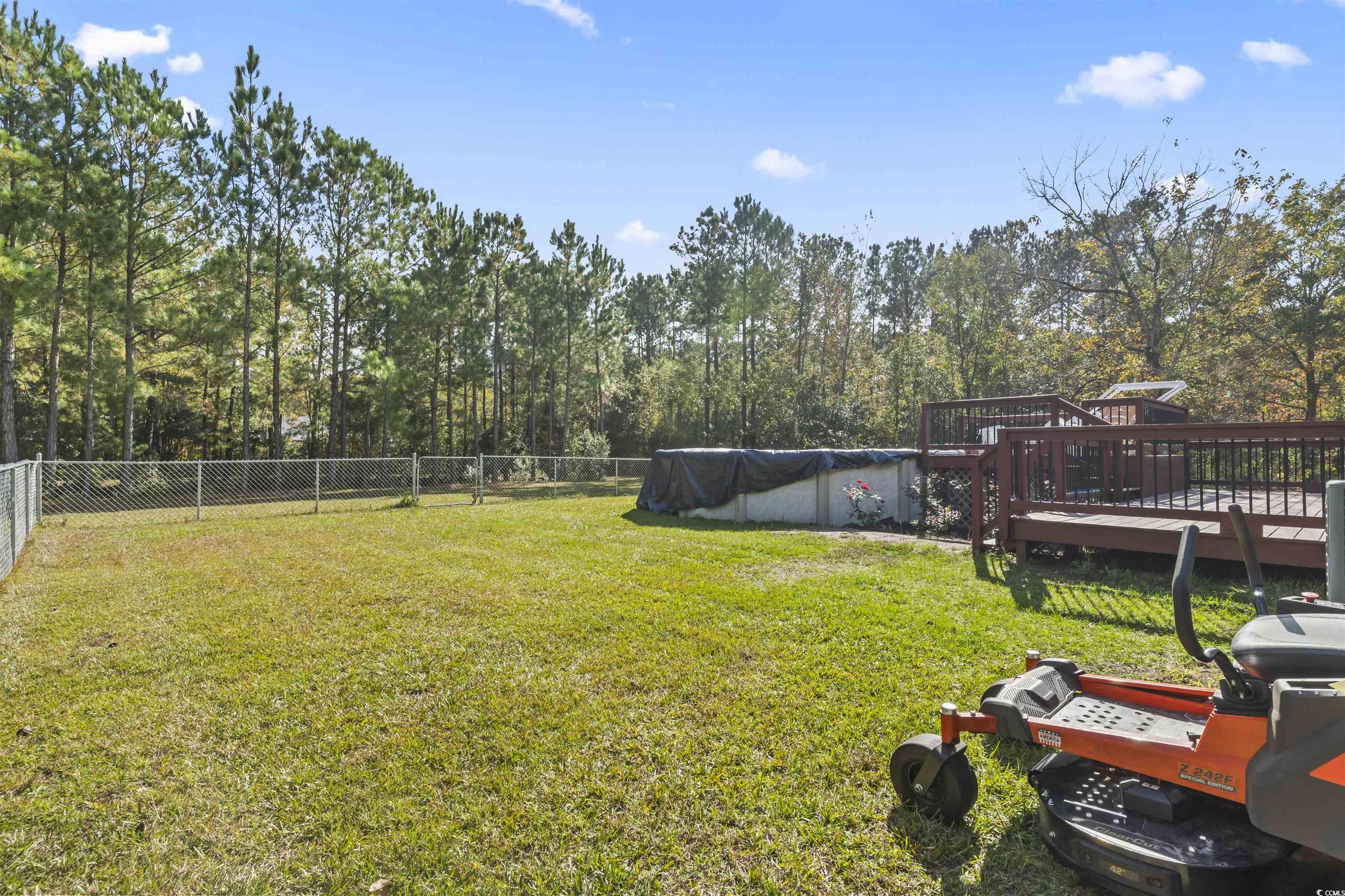 1495 Wilderness Lane Loris, SC 29569 - Photo 31 of 37 View of yard featuring a shed