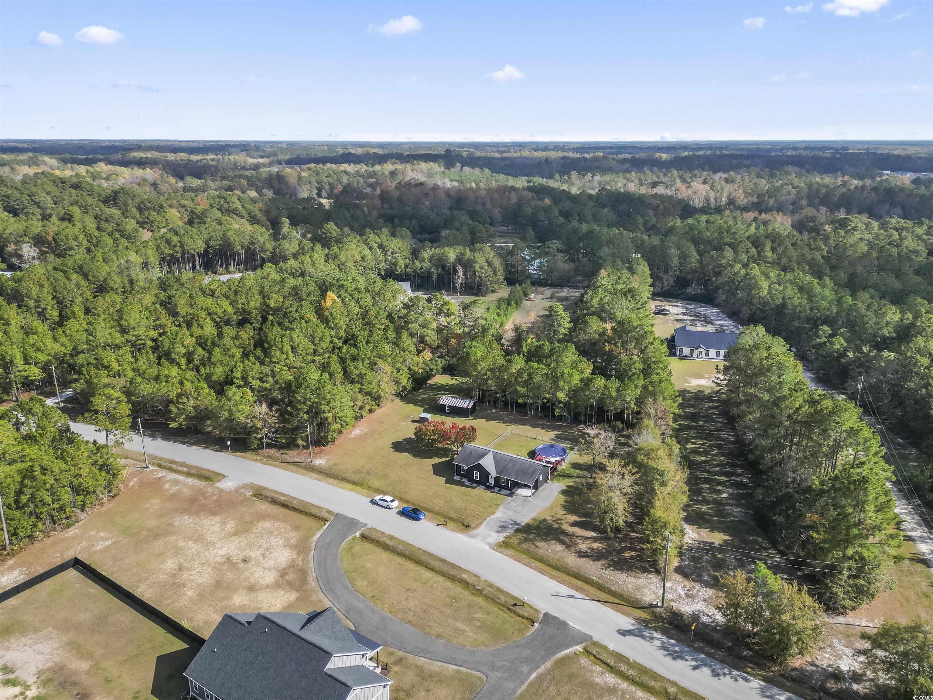 1495 Wilderness Lane Loris, SC 29569 - Photo 36 of 37 Drone / aerial view of a forest