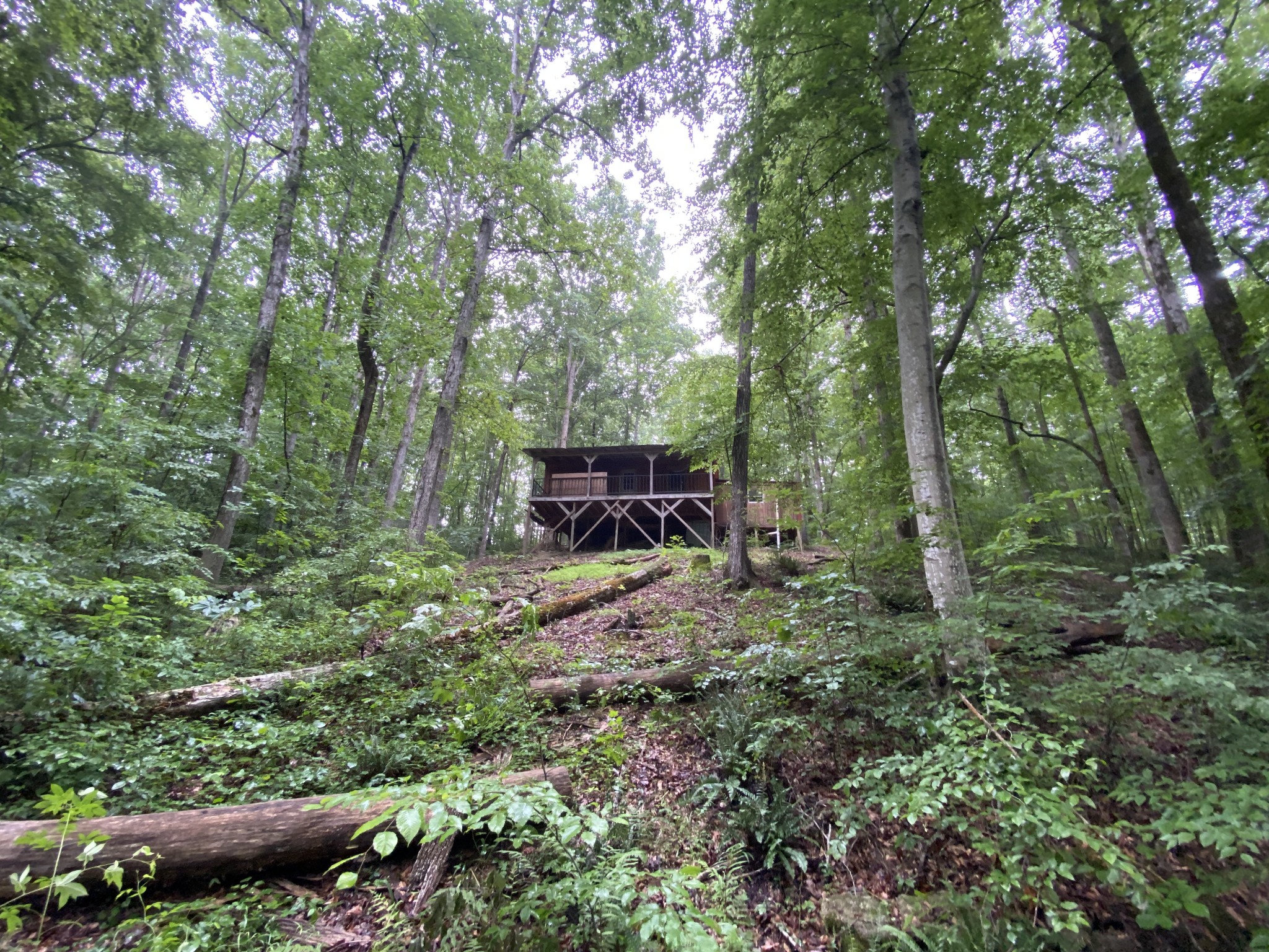 1438 Fall River Road Goodspring, TN 38460 - Photo 18 of 39 a view of a lush green forest