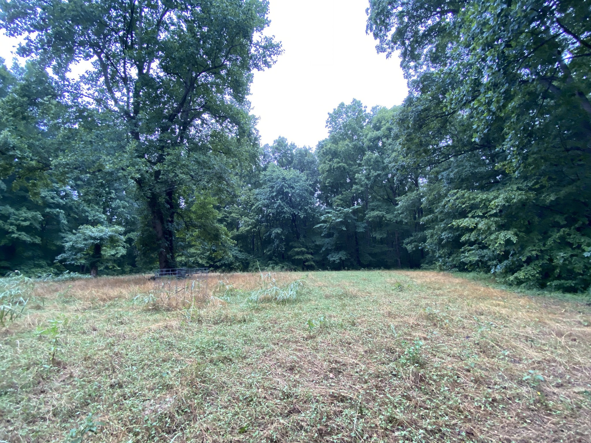 1438 Fall River Road Goodspring, TN 38460 - Photo 25 of 39 a view of basketball court