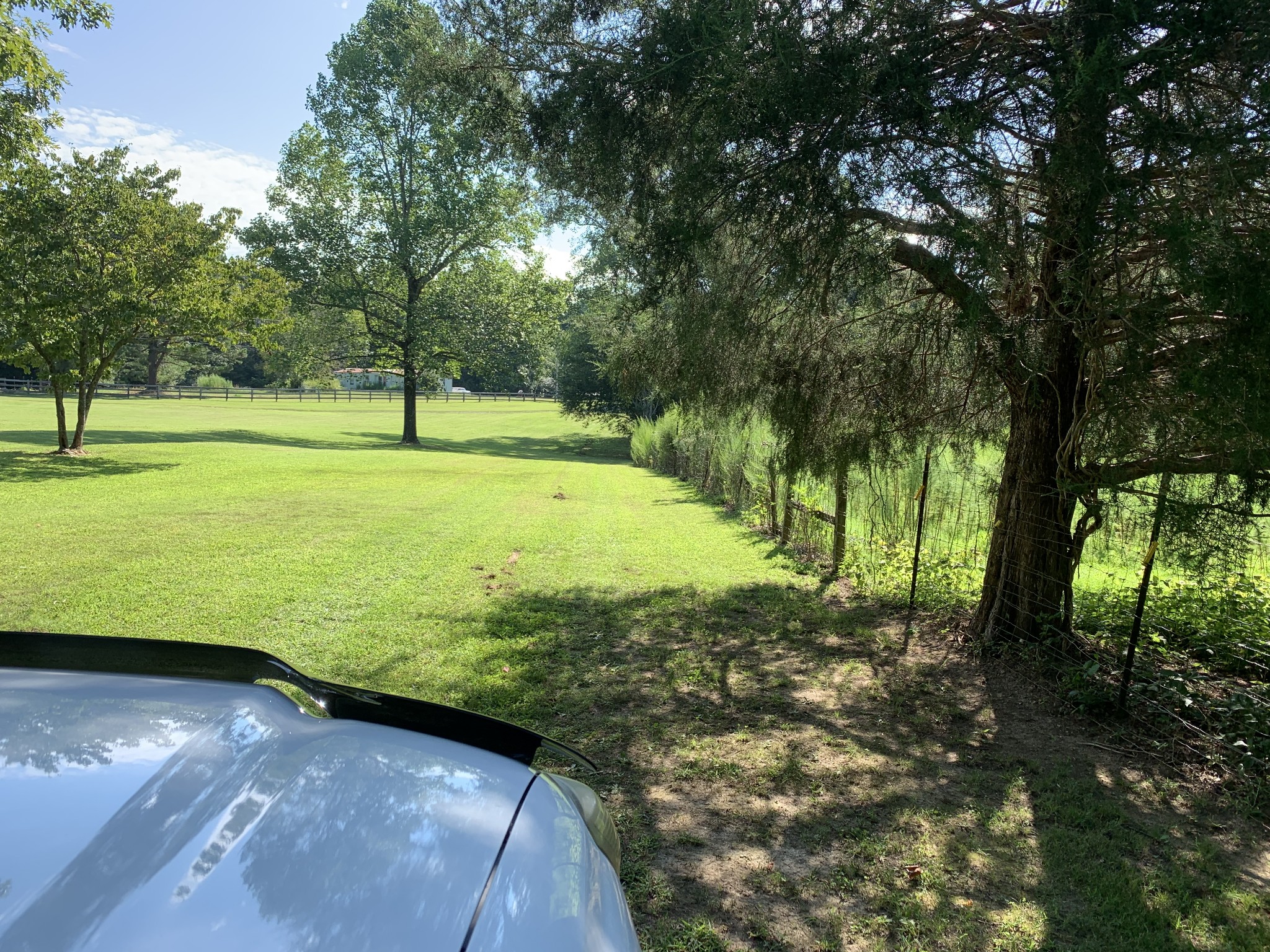 1438 Fall River Road Goodspring, TN 38460 - Photo 29 of 39 a view of a yard with a tree