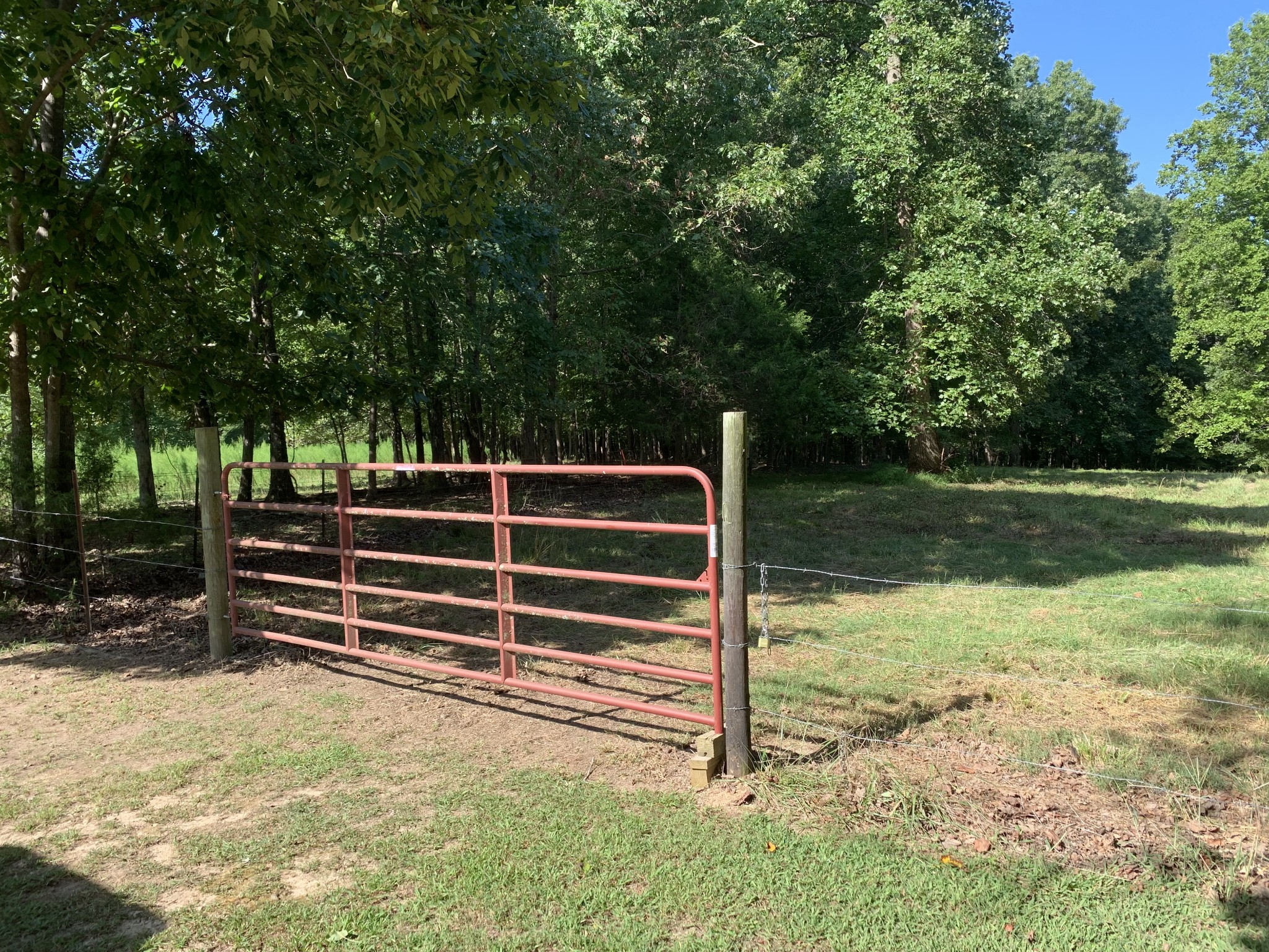 1438 Fall River Road Goodspring, TN 38460 - Photo 31 of 39 a backyard of a house with lots of green space and outdoor seating