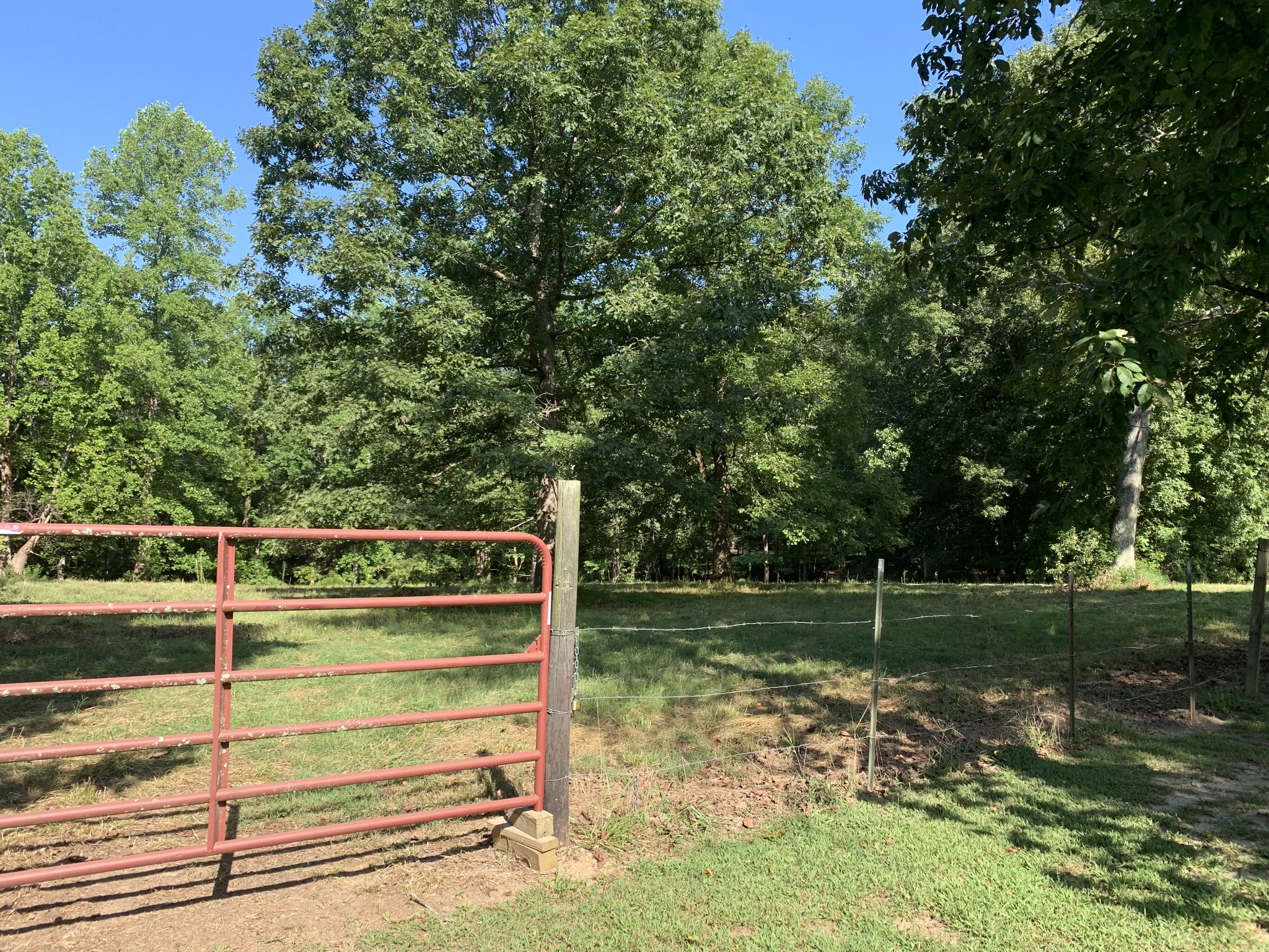 1438 Fall River Road Goodspring, TN 38460 - Photo 33 of 39 a view of backyard with green space