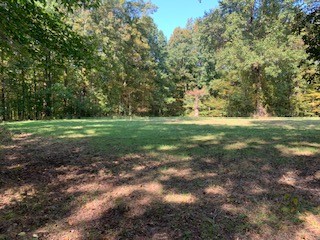 1438 Fall River Road Goodspring, TN 38460 - Photo 7 of 39 a view of a grassy field with trees