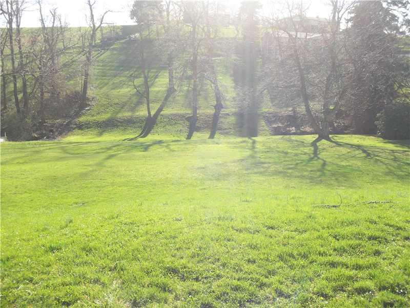 251 Hazel Kirk Road Monongahela, PA 15063 - Photo 21 of 22 Yard/Garden.