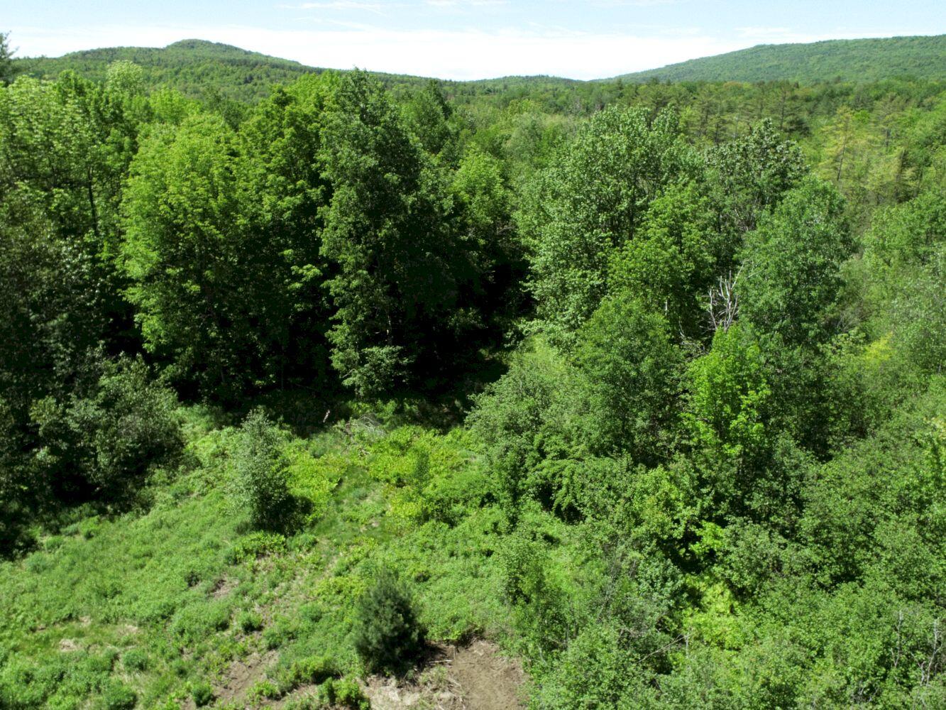 28 Nichols Hill Road Bingham, ME 04920 - Photo 12 of 78 DJI_0030
