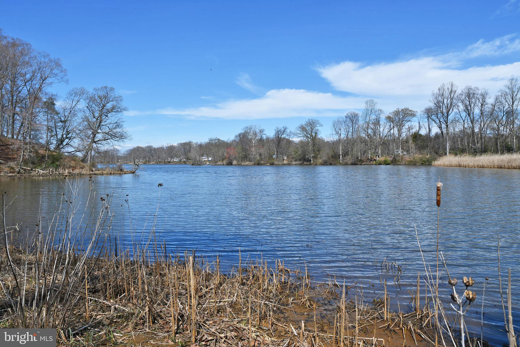 721 Knight Island Road Earleville, MD 21919 - Photo 12 of 13