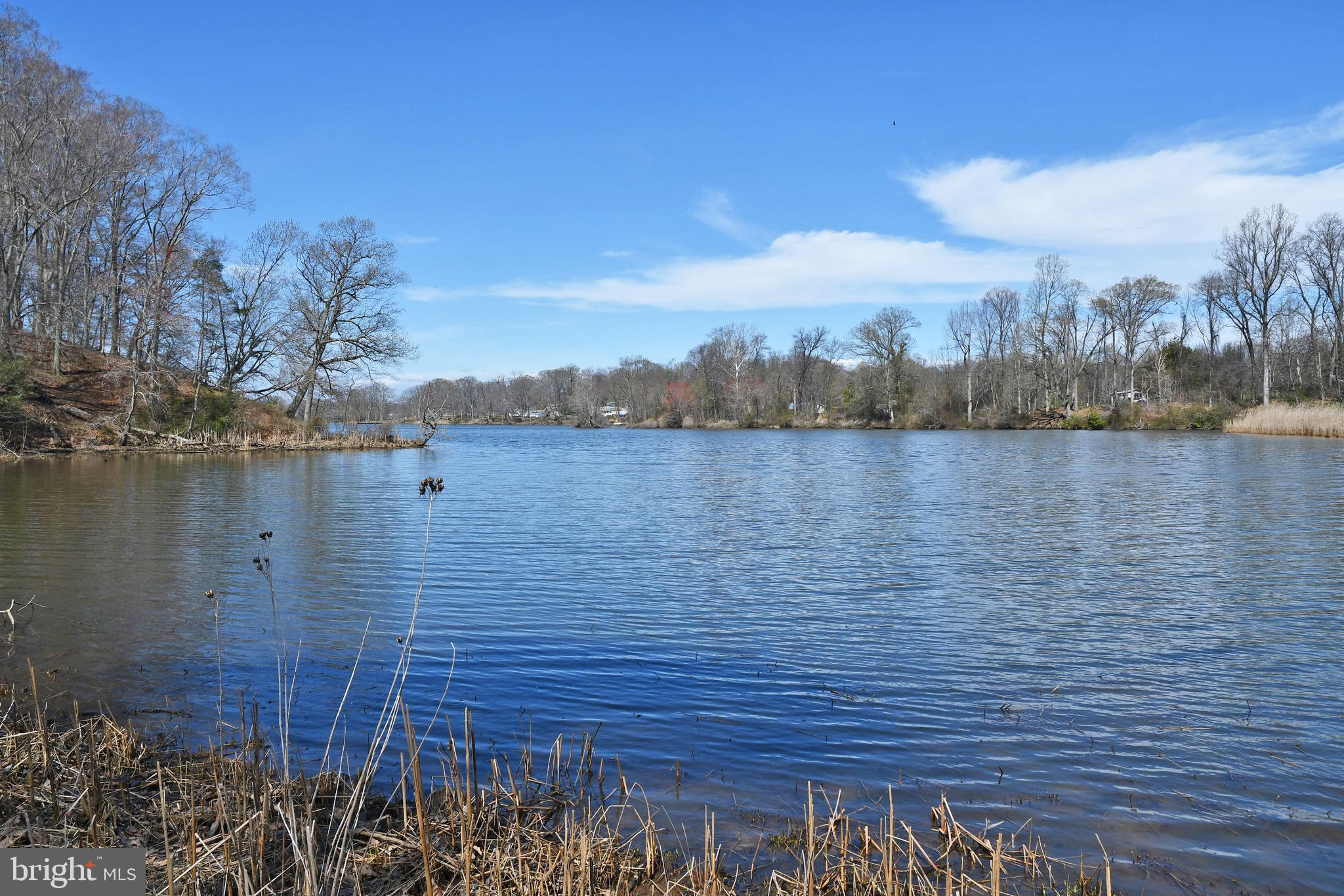 721 Knight Island Road Earleville, MD 21919 - Photo 13 of 13