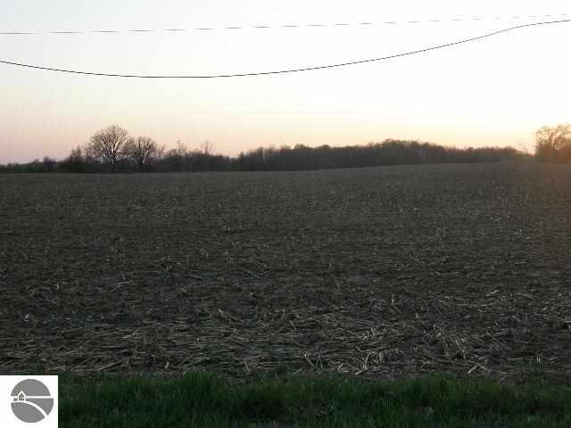 1426 West Van Buren Road Alma, MI 48801 - Photo 11 of 24 1744962-10.JPG