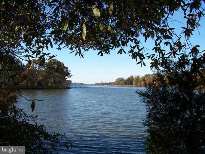 28026 Villa Road Easton, MD 21601 - Photo 14 of 29 Bay View 2