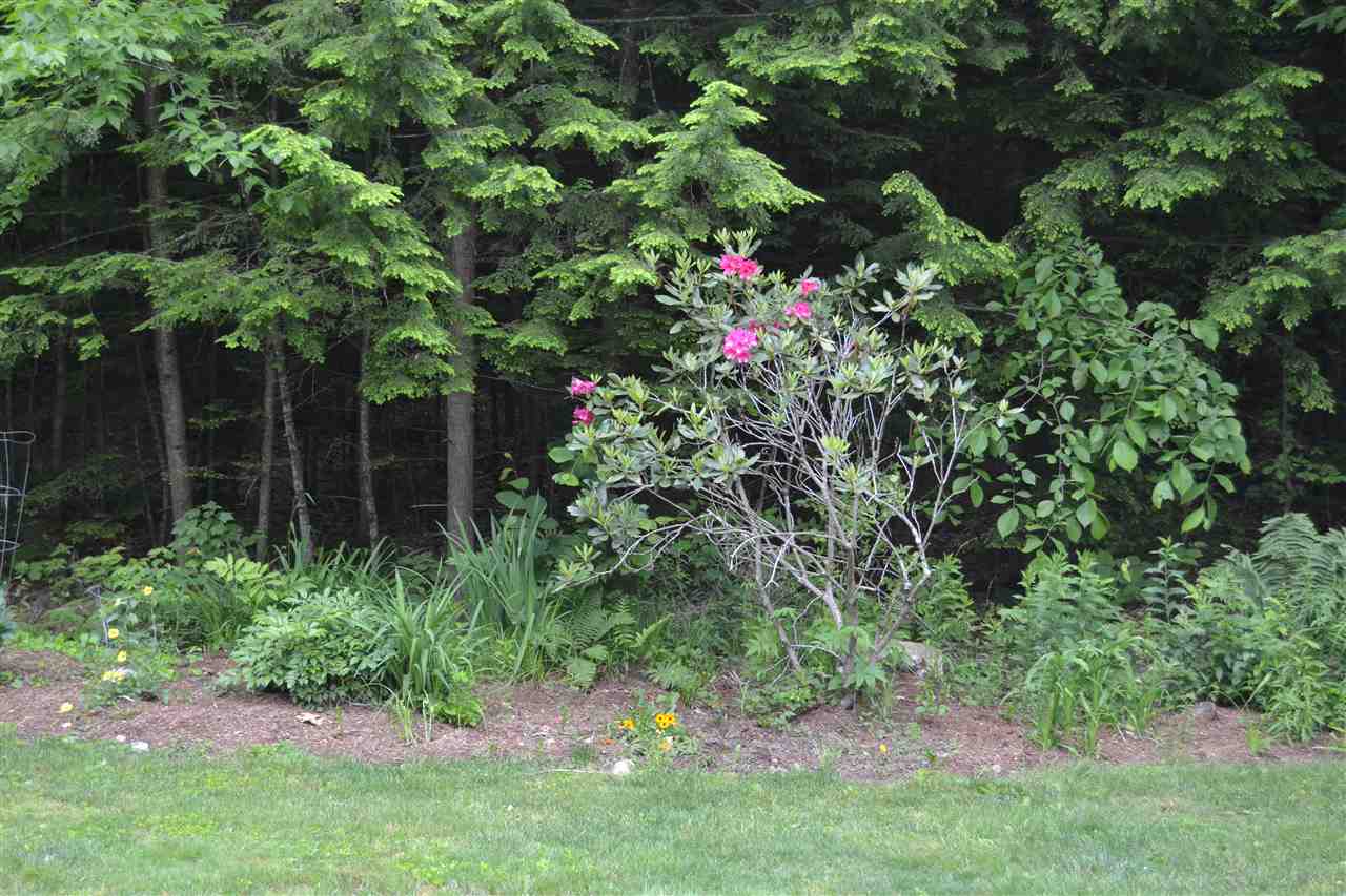 30 Stack Drive Bow, NH 03304 - Photo 8 of 30