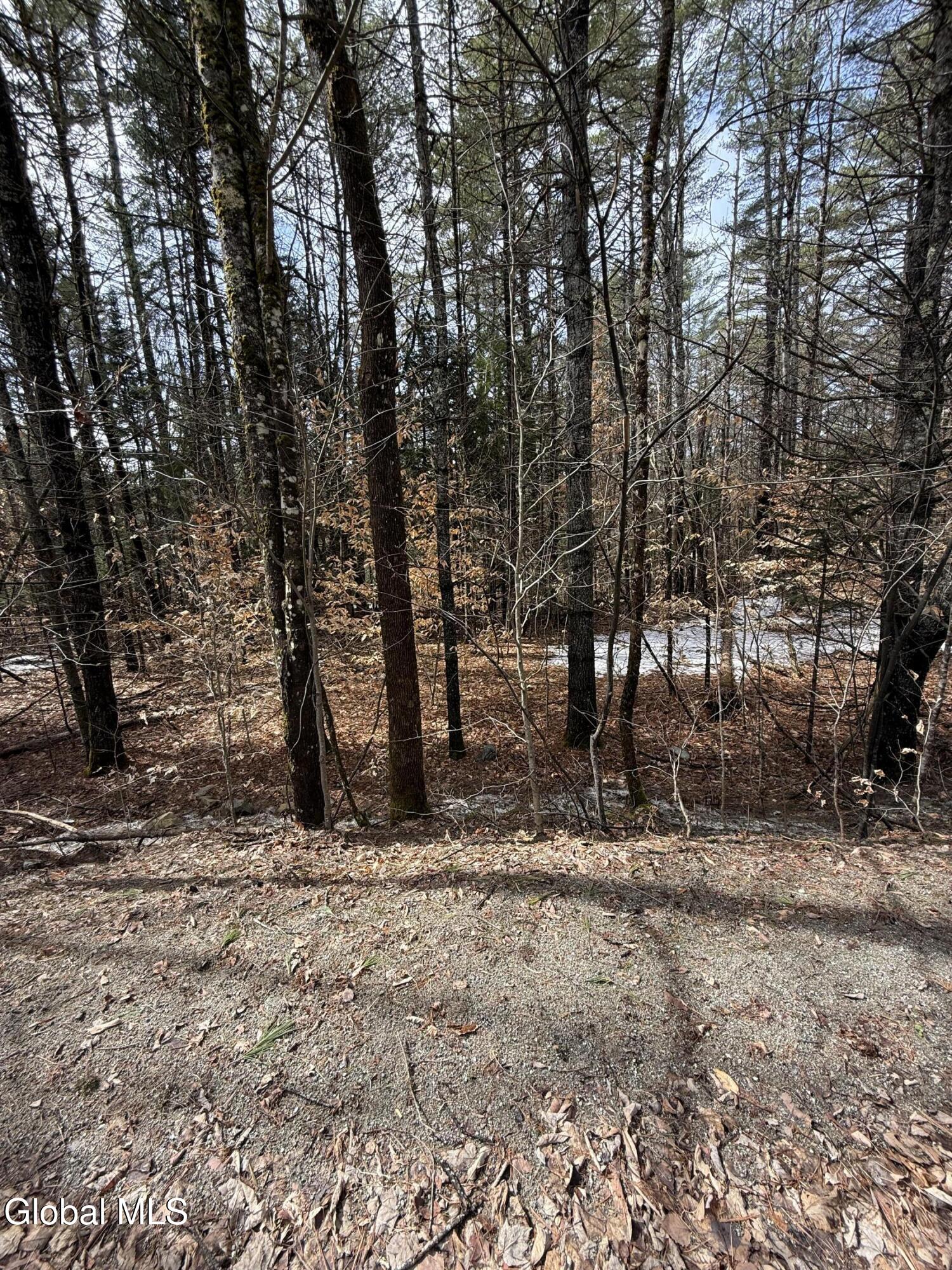 L10 Stone Bridge Road Pottersville, NY 12860 - Photo 23 of 38 IMG_0423
