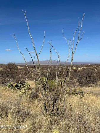 $245,000 | 6.6 Acres Off W Linda Vista Road, Oracle, AZ 85623