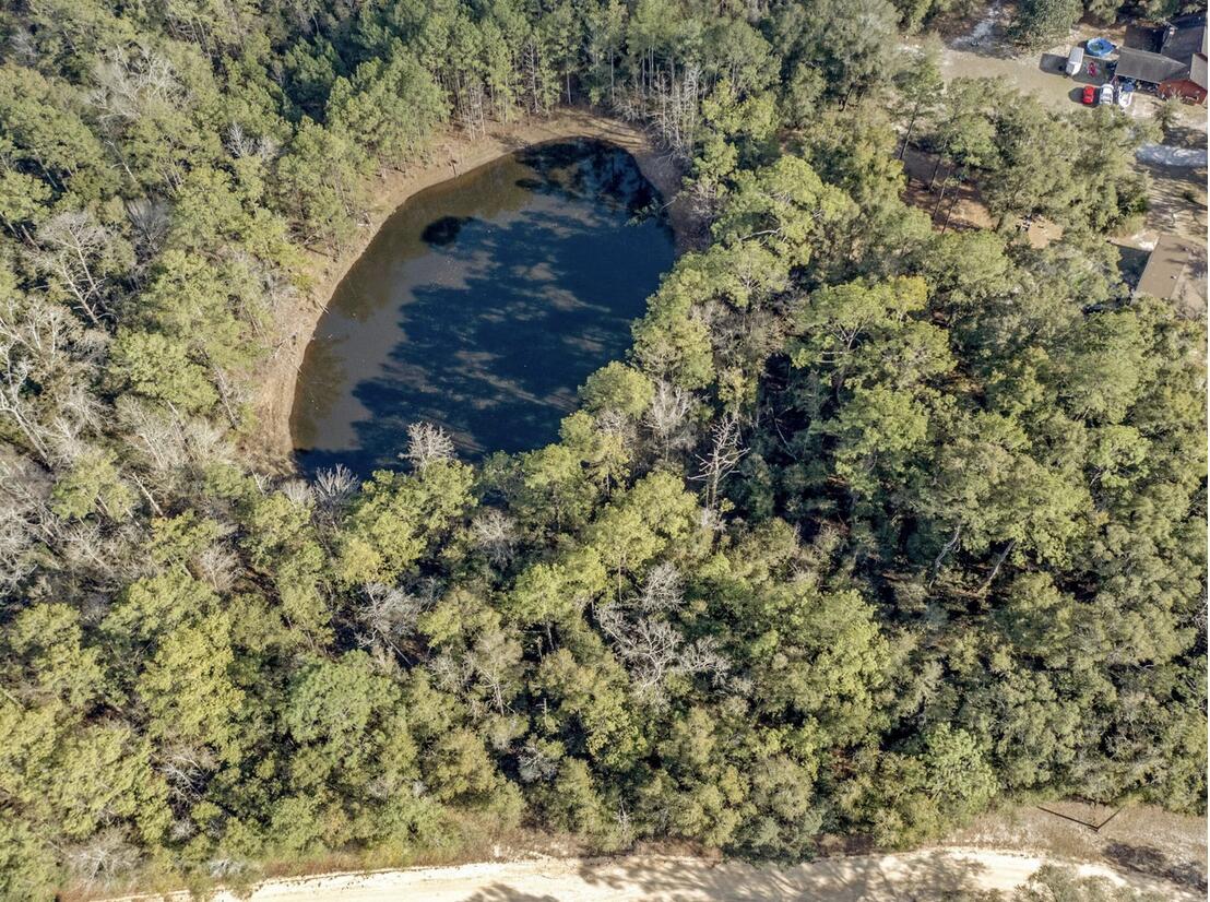 a view of a tree in a yard
