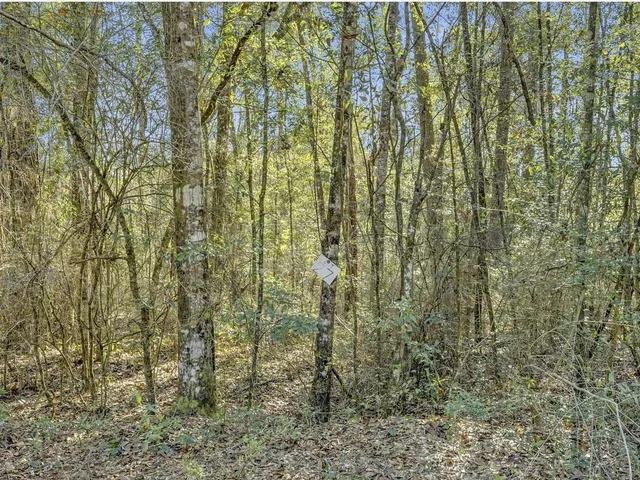a close view of shower and a yard