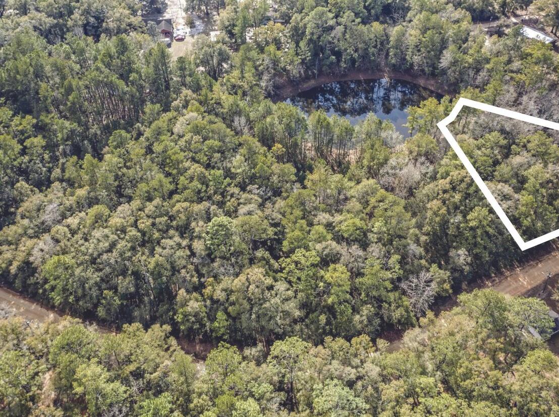 Lot 27 Blue Creek Road Ponce de Leon, FL 32455 - Photo 12 of 16 a view of a yard with plants and a bench