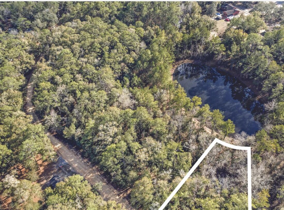 Lot 27 Blue Creek Road Ponce de Leon, FL 32455 - Photo 15 of 16 a view of a yard with plants
