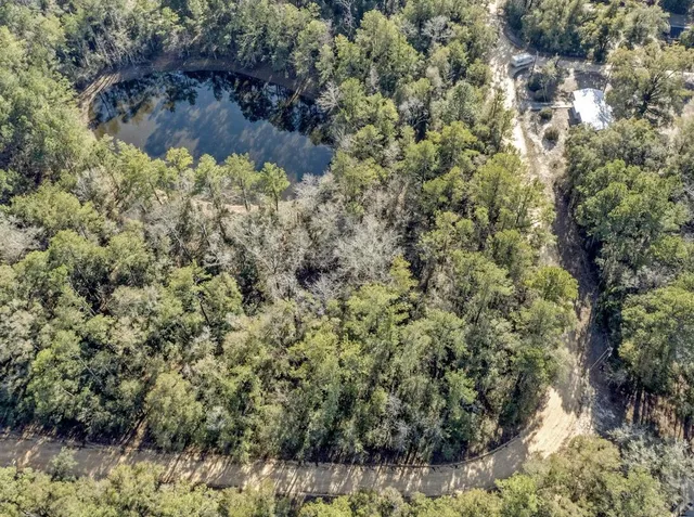 a close up of a tree