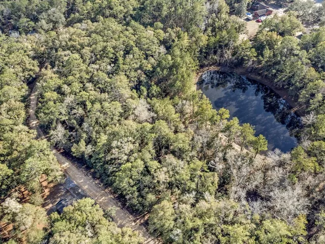 a view of a forest with trees