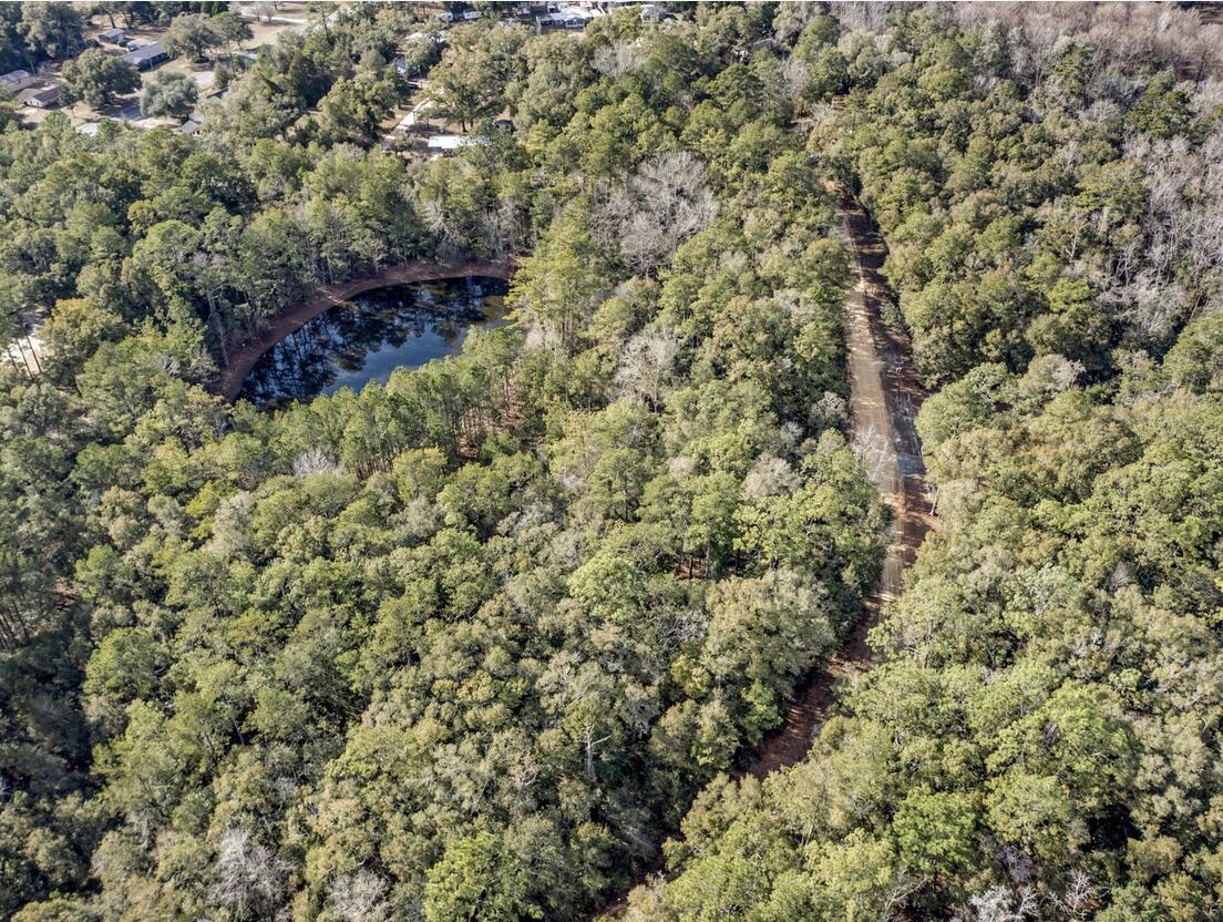 Lot 27 Blue Creek Road Ponce de Leon, FL 32455 - Photo 5 of 16 a picture of a tree
