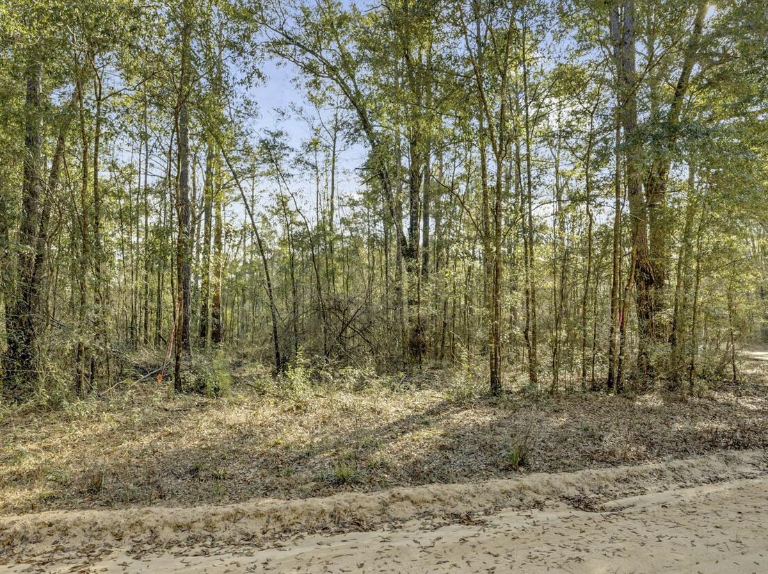 Lot 27 Blue Creek Road Ponce de Leon, FL 32455 - Photo 8 of 16 a view of outdoor space and green space