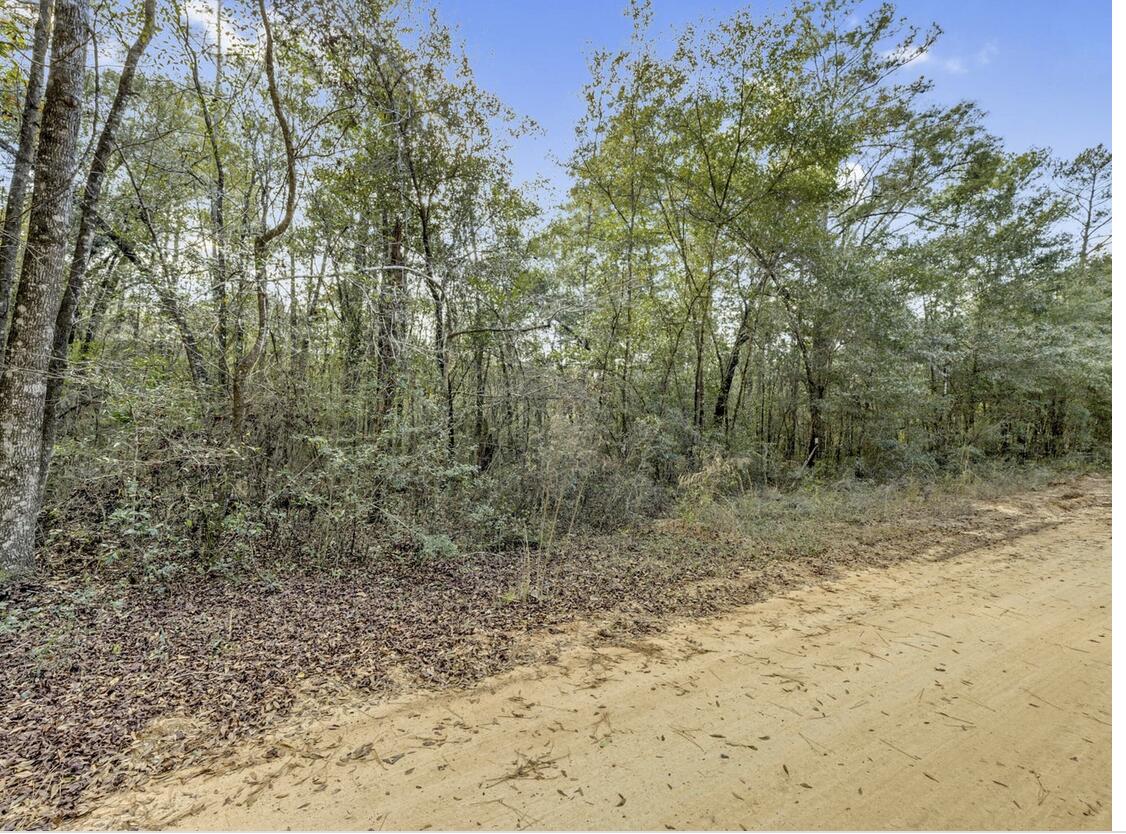 Lot 27 Blue Creek Road Ponce de Leon, FL 32455 - Photo 9 of 16 a view of a yard with large trees