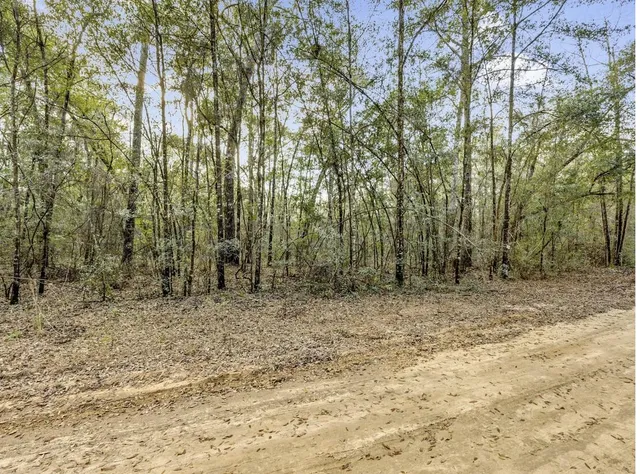 a view of outdoor space with trees