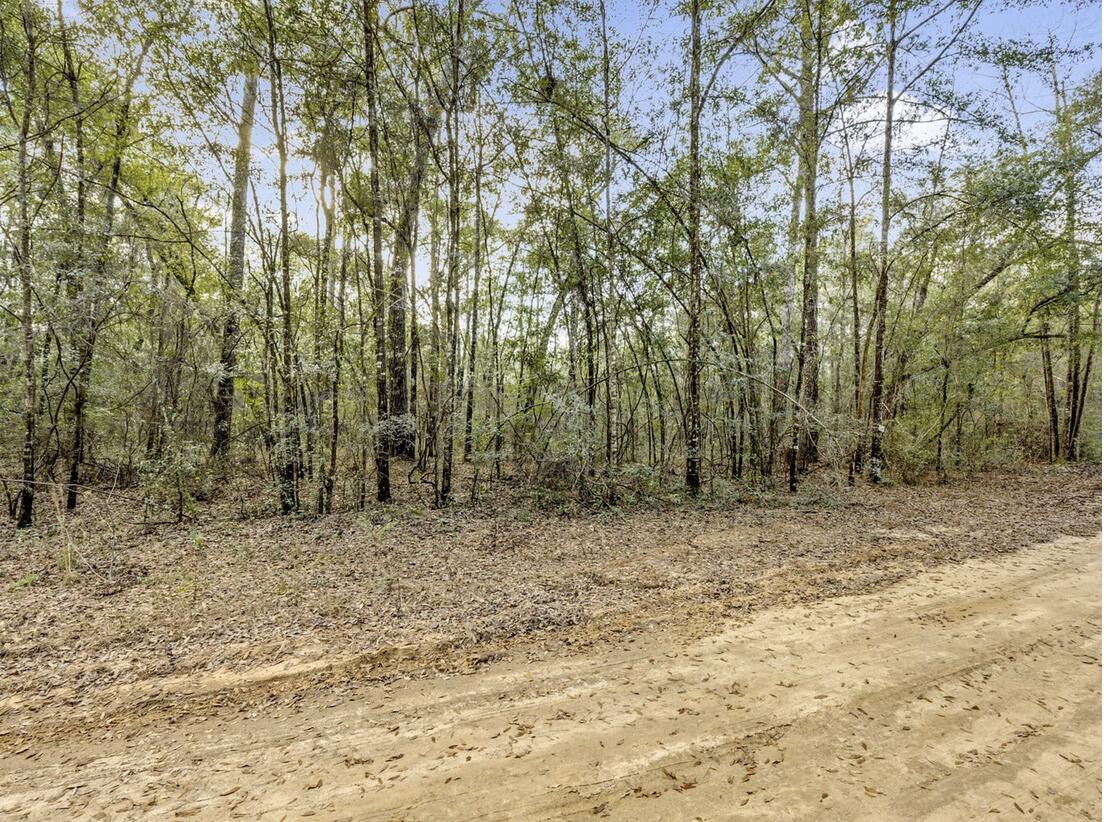 Lot 27 Blue Creek Road Ponce de Leon, FL 32455 - Photo 10 of 16 a view of outdoor space with trees
