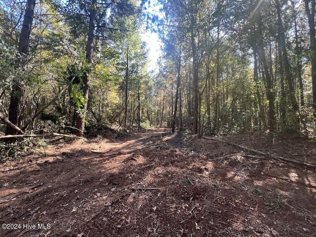 3 Veachs Mill Road Warsaw, NC 28398 - Photo 15 of 23 13