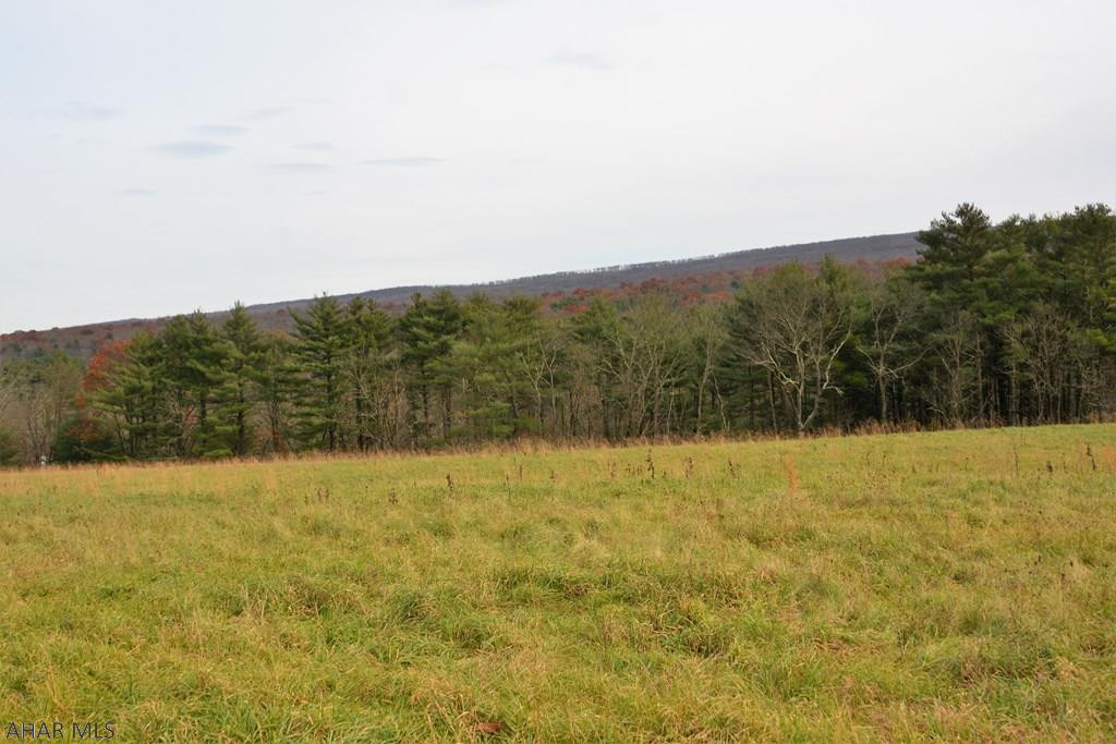 Lot #6 Crystalview Drive Crystal Spring, PA 15536 - Photo 10 of 16
