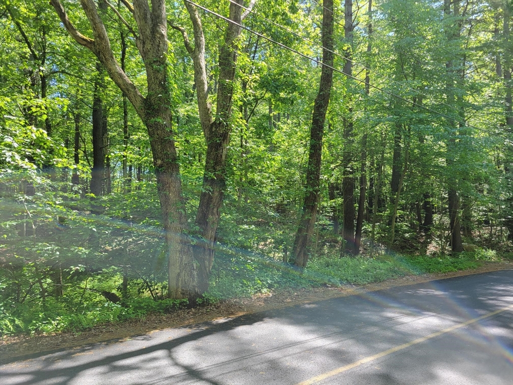 Lot 5 Daniels Road Dudley, MA 01571 - Photo 2 of 8