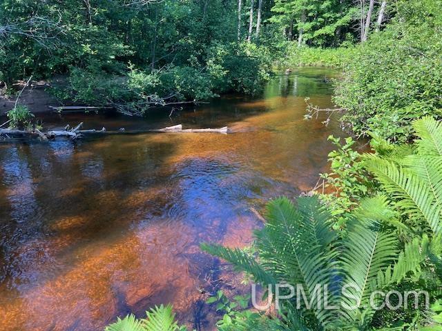 11.6 Acres Off Remington Road Marquette, MI 49855 - Photo 33 of 39