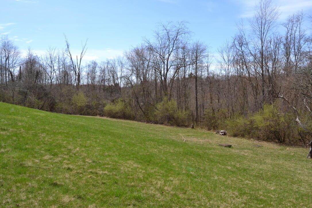 12390 Dodds Road Southeast Heath, OH 43056 - Photo 10 of 34 Yard