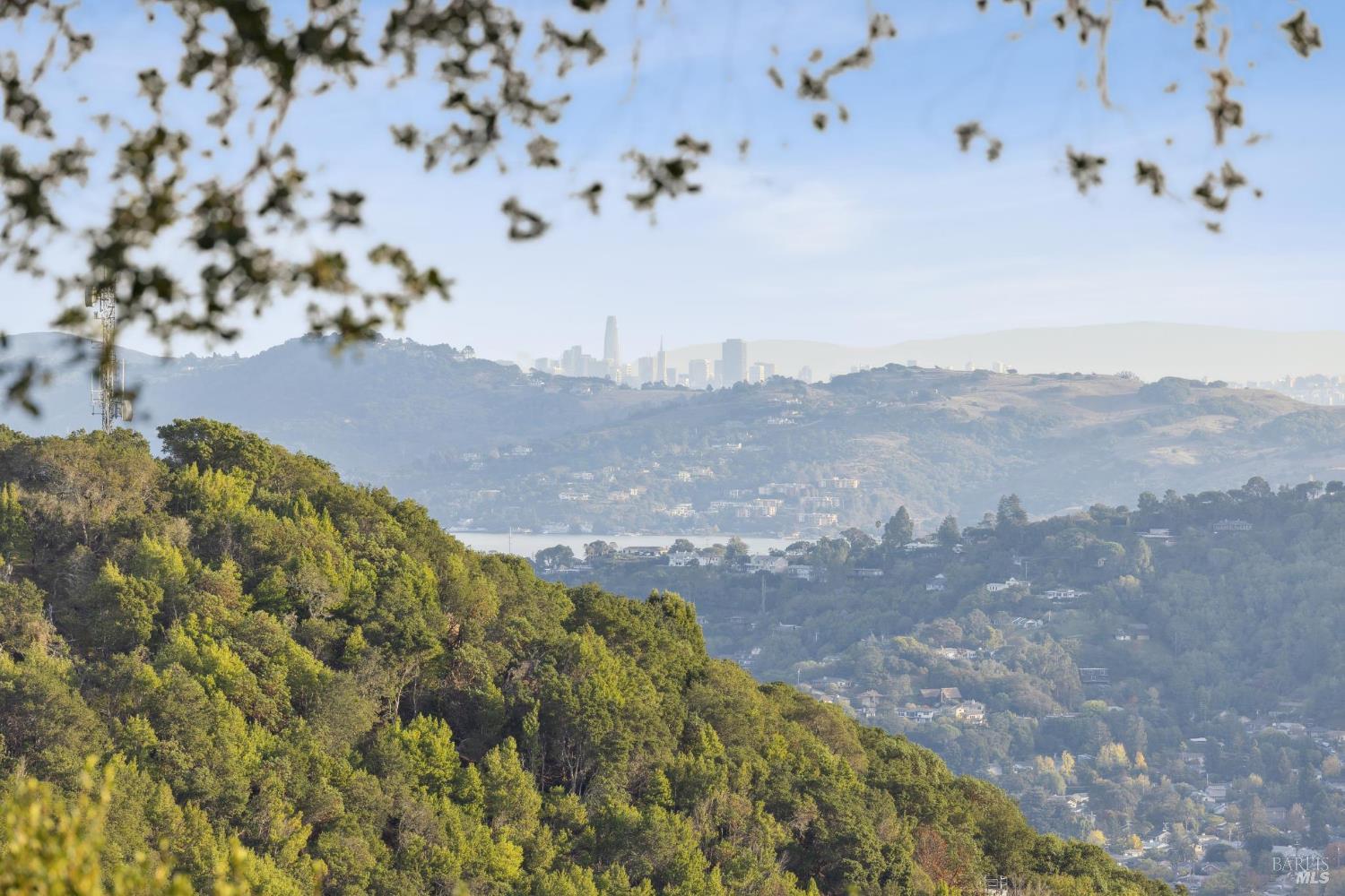 87 Oakmont Avenue San Rafael, CA 94901 - Photo 19 of 92