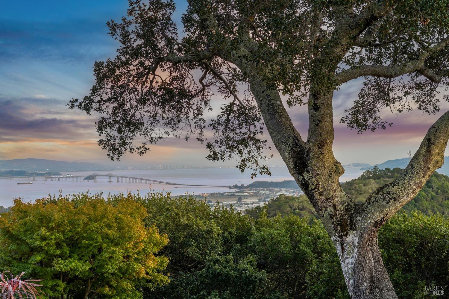 87 Oakmont Avenue San Rafael, CA 94901 - Photo 77 of 92