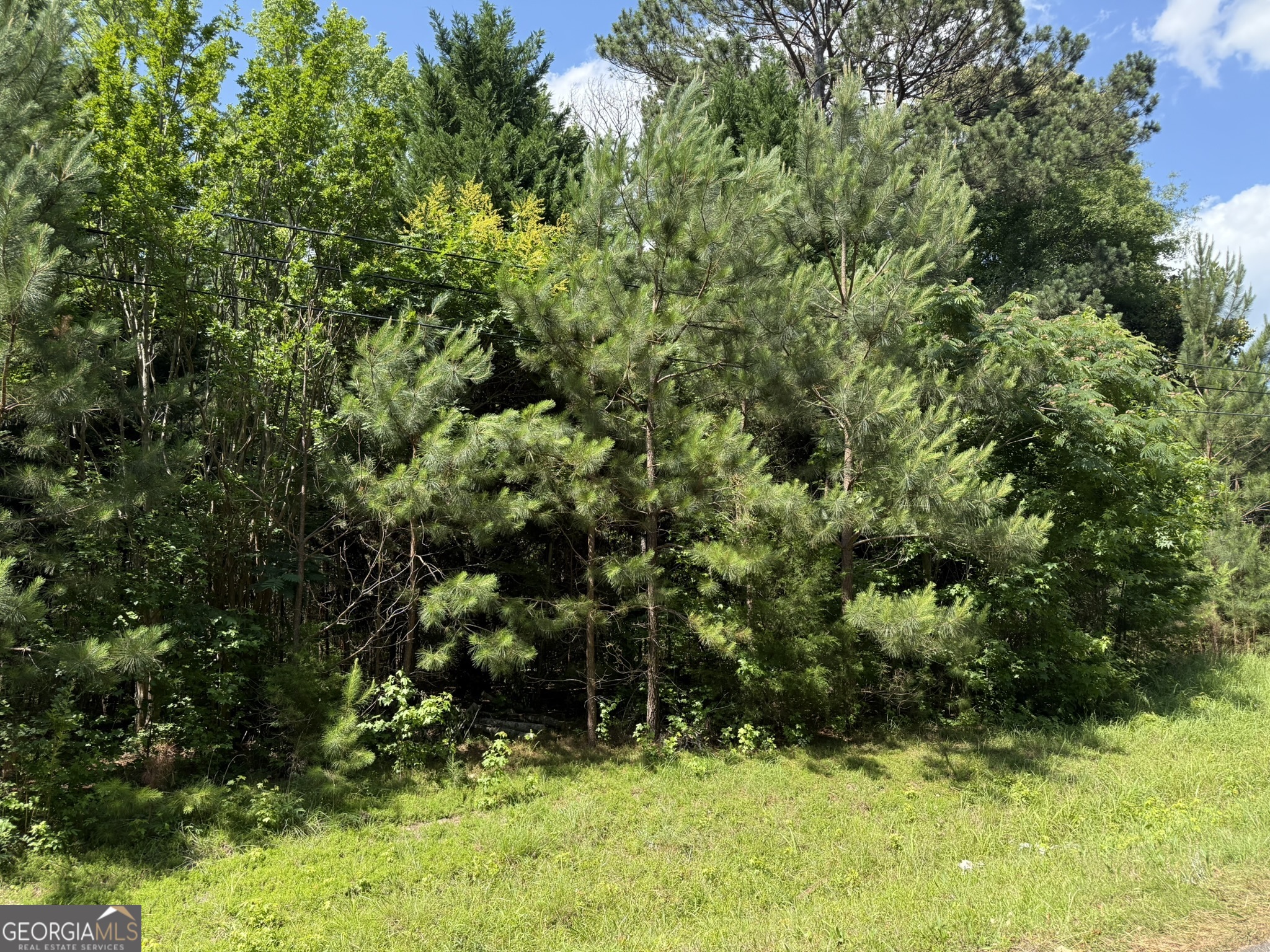 1425 River Road Warm Springs, GA 31830 - Photo 2 of 4