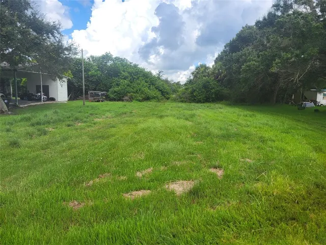 a view of a yard with grass and a tree