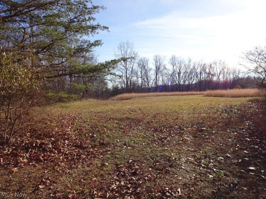 Tariff Road Looneyville, WV 25259 - Photo 7 of 10 Gallery Image 7