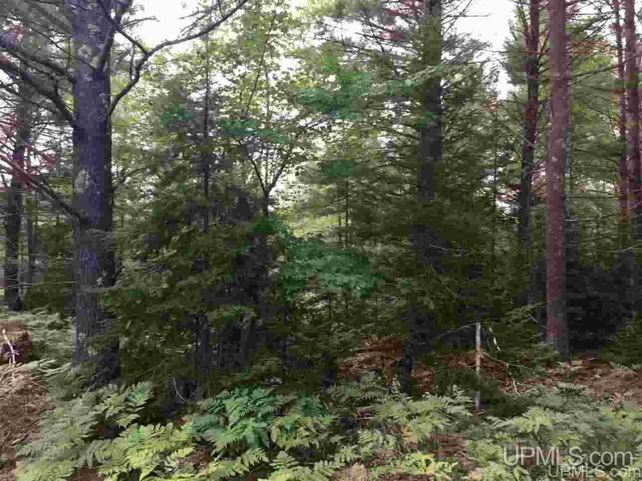 M35 Ne Negaunee, MI 49866 - Photo 8 of 17 Gallery Image 8