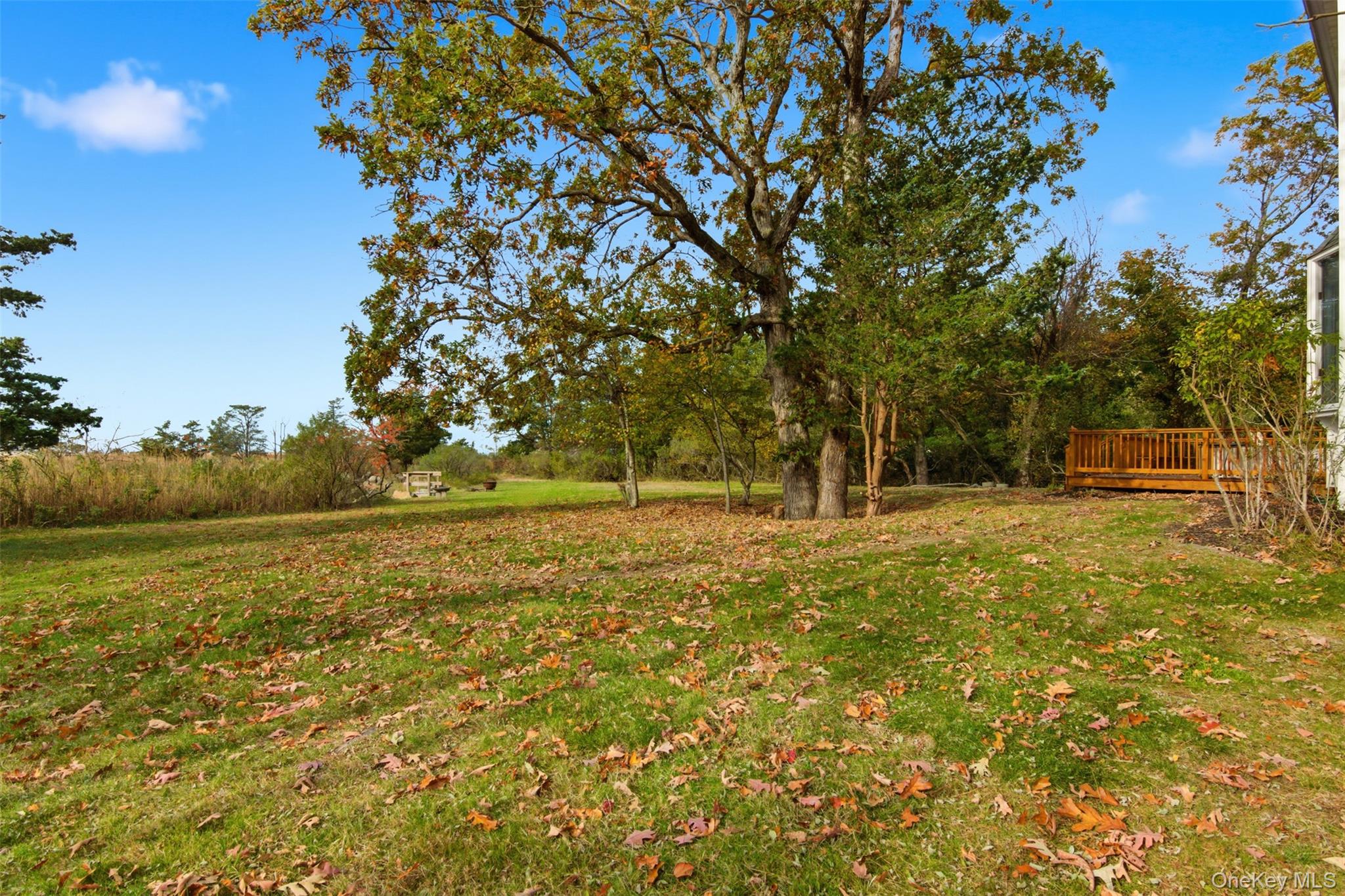 14 Flax Pond Woods Road Setauket, NY 11733 - Photo 35 of 41 a view of outdoor space with deck and trees